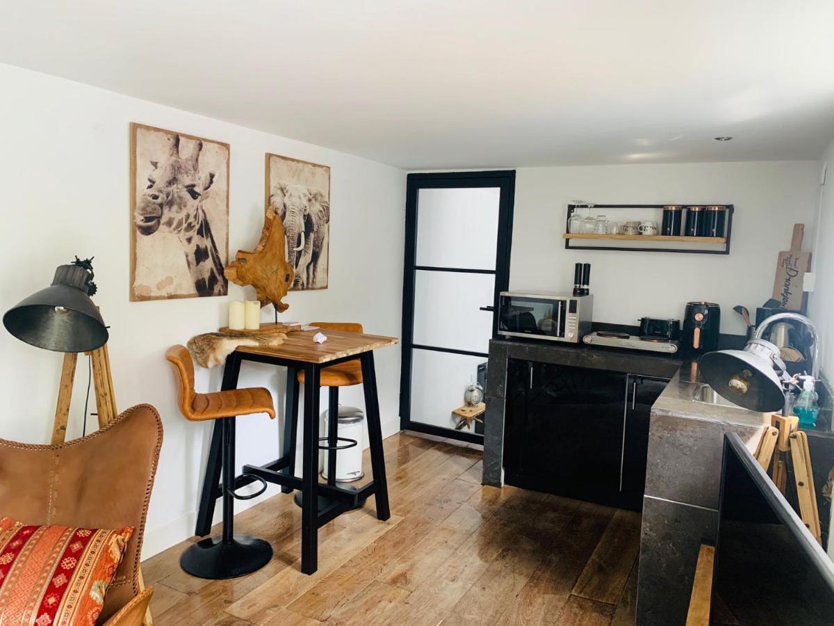Finch Guesthouse Zandvoort Dış mekan fotoğraf